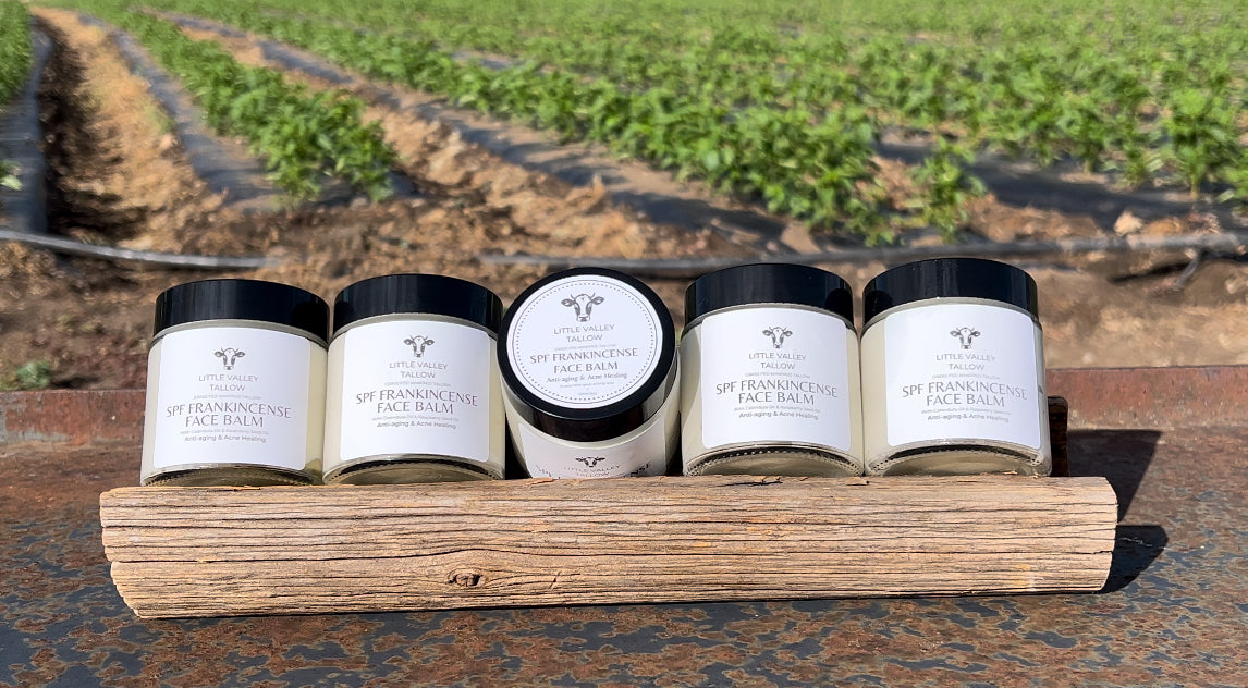 Grass Fed Whipped Tallow SPF Frankincense Face Balm